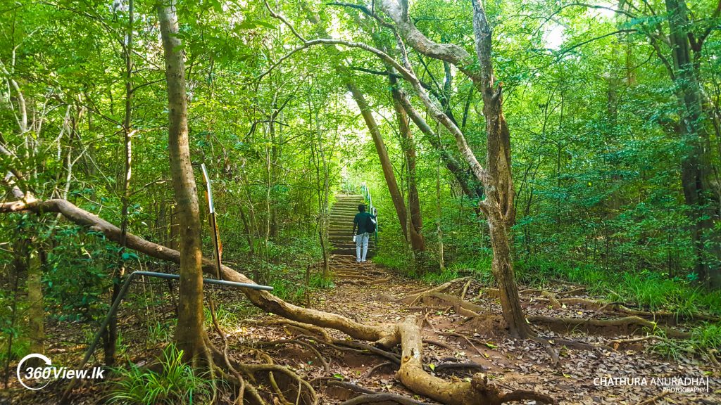 Road to Duwili Ella Waterfall