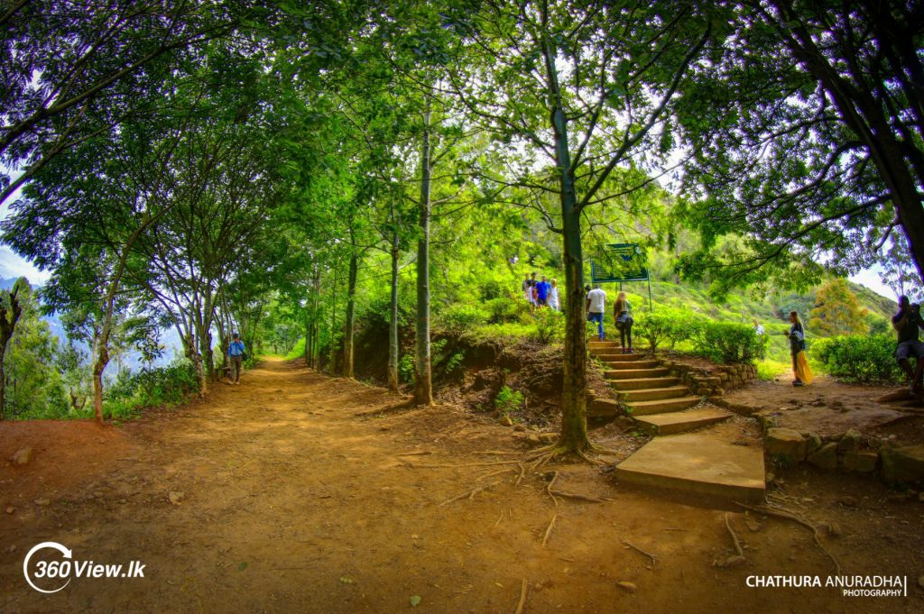 Road to Little Adam's Peak