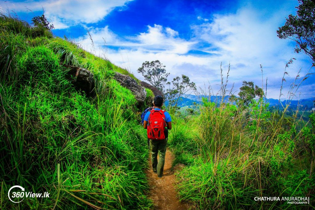 Road to Little Adam's Peak
