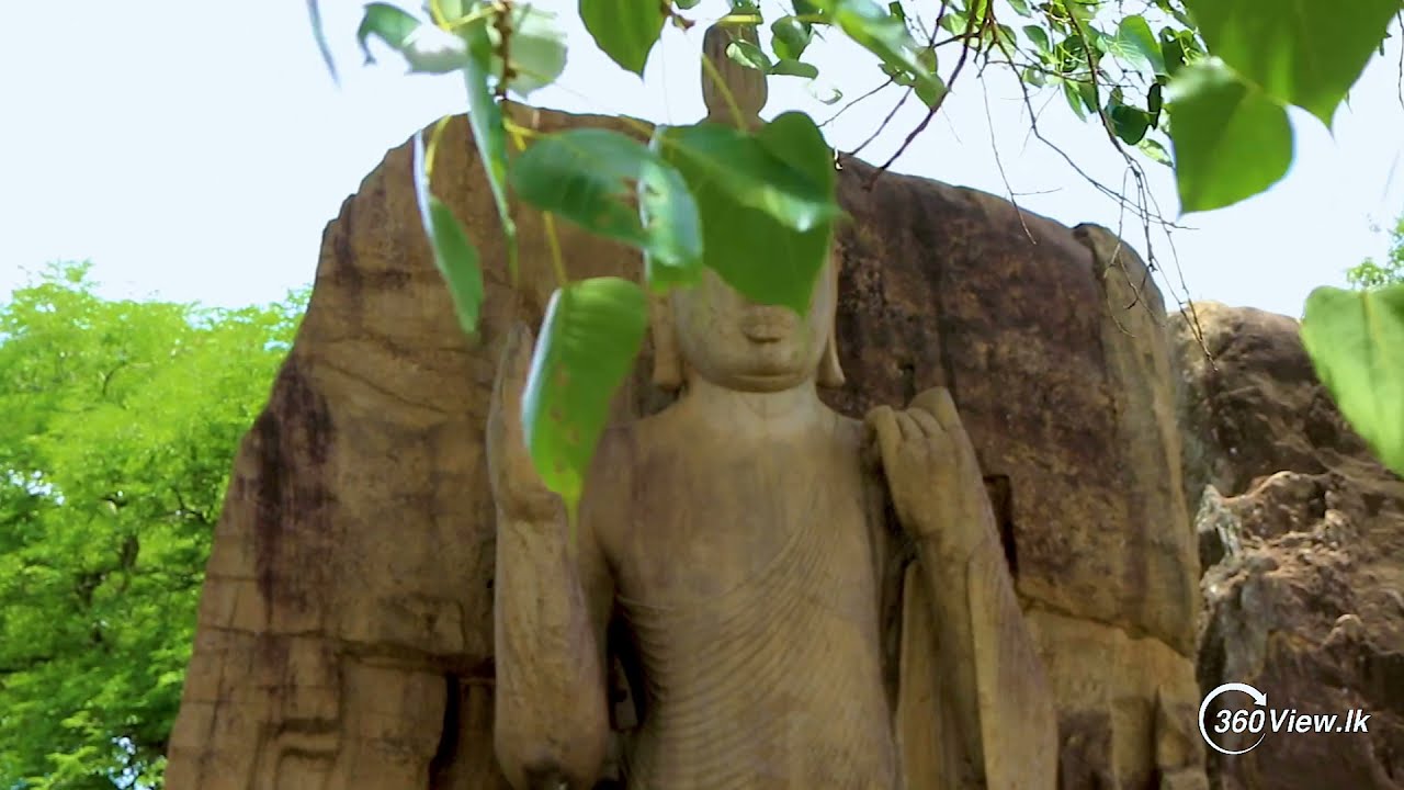 Short Video of Avukana Budhdha Statue