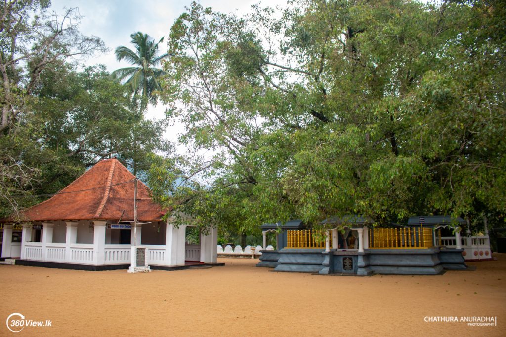 Boo Tree at Muthiyangana Raja Maha Viharaya