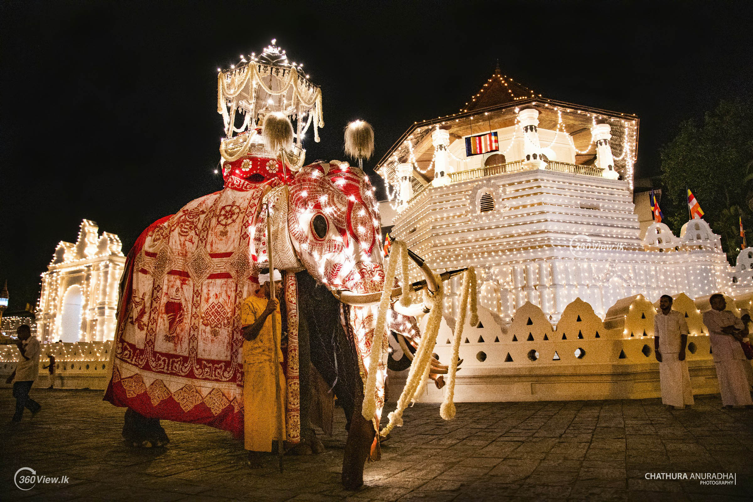 Photo of Tusker Indi Raja