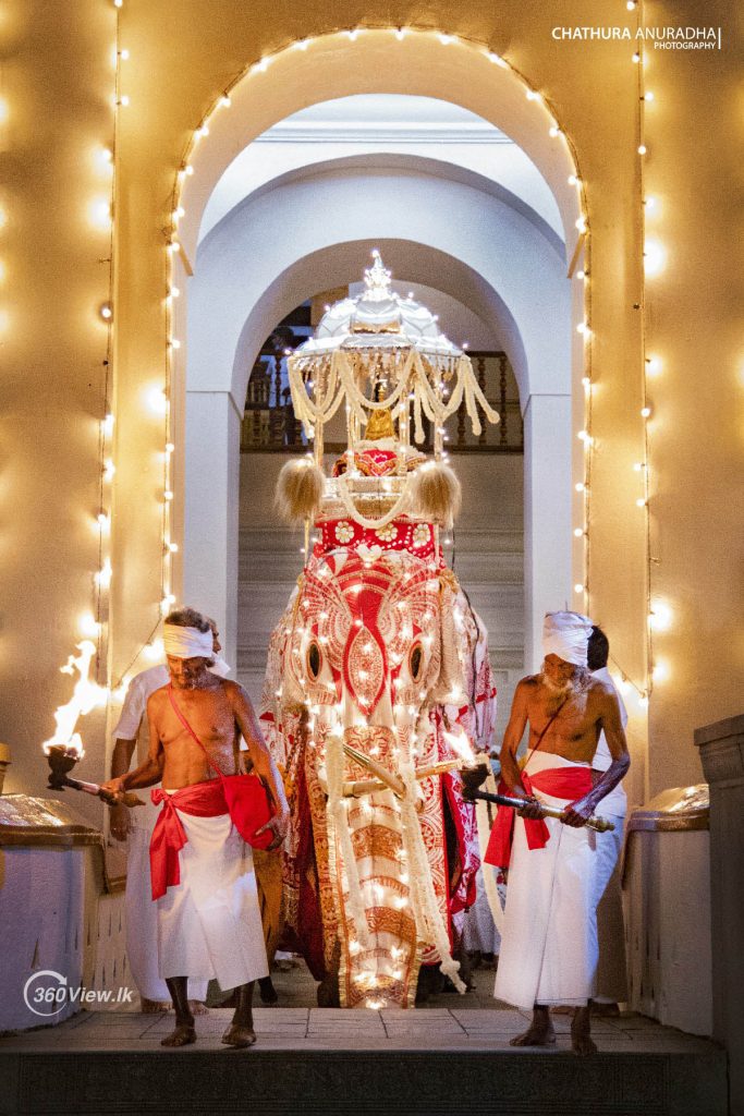 Indi Raja carried the golden casket containing the sacred tooth relic of Lord Buddha