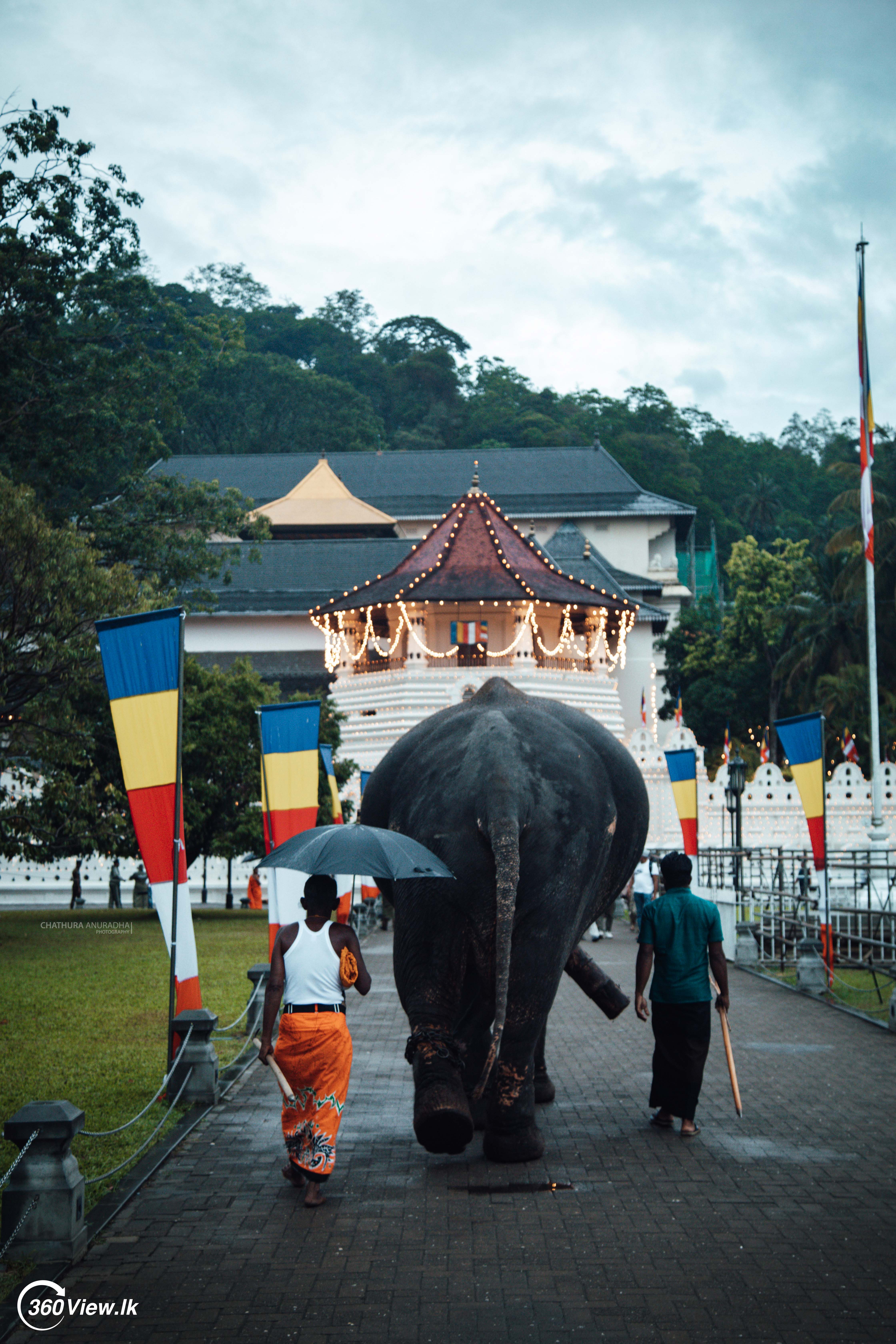 Kandy Esala Perahera 2023 Photo Album