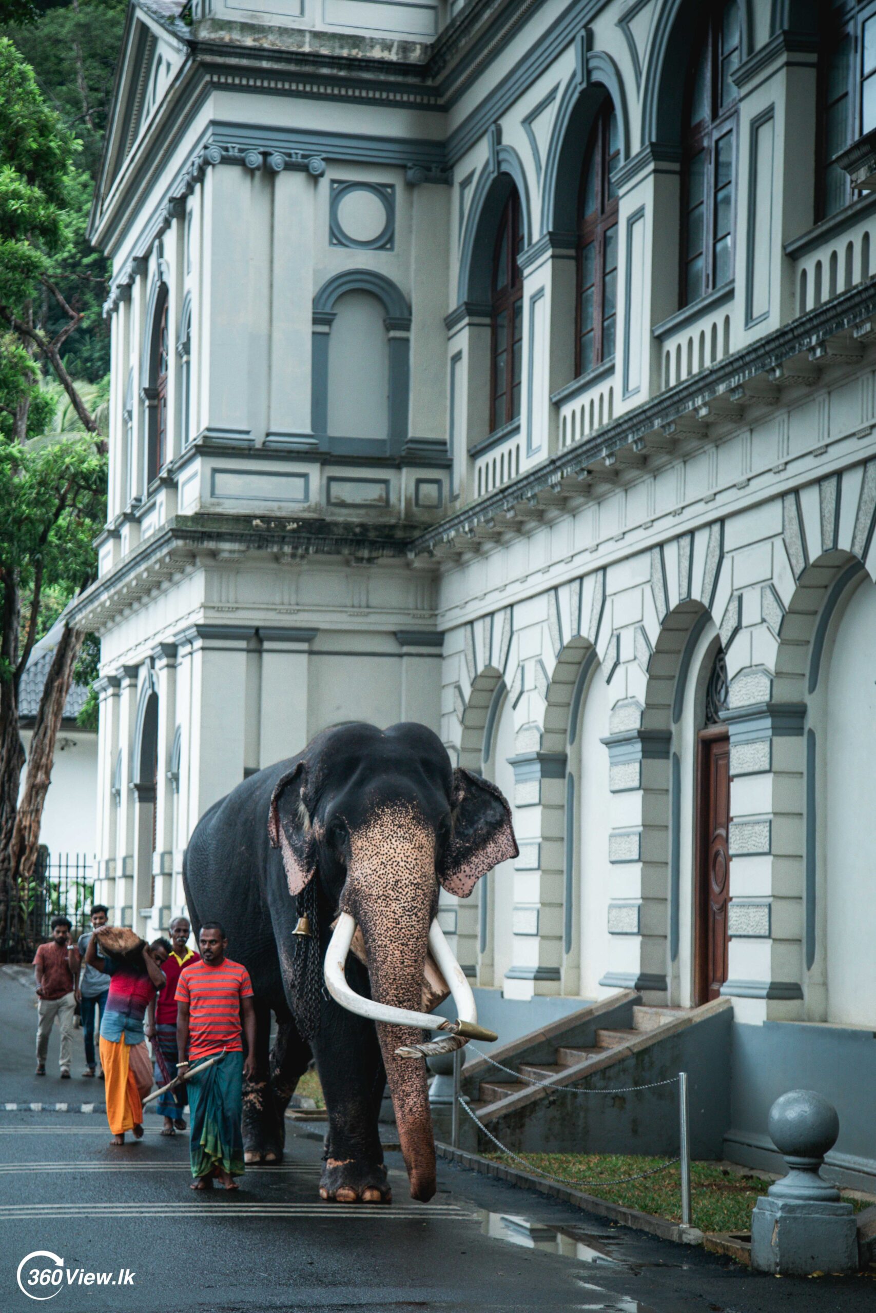 Kandy Esala Perahera 2023 Photo Album