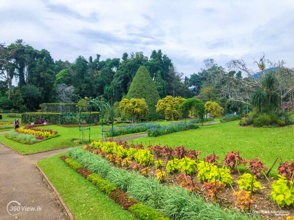 Royal Botanic Gardens, Peradeniya
